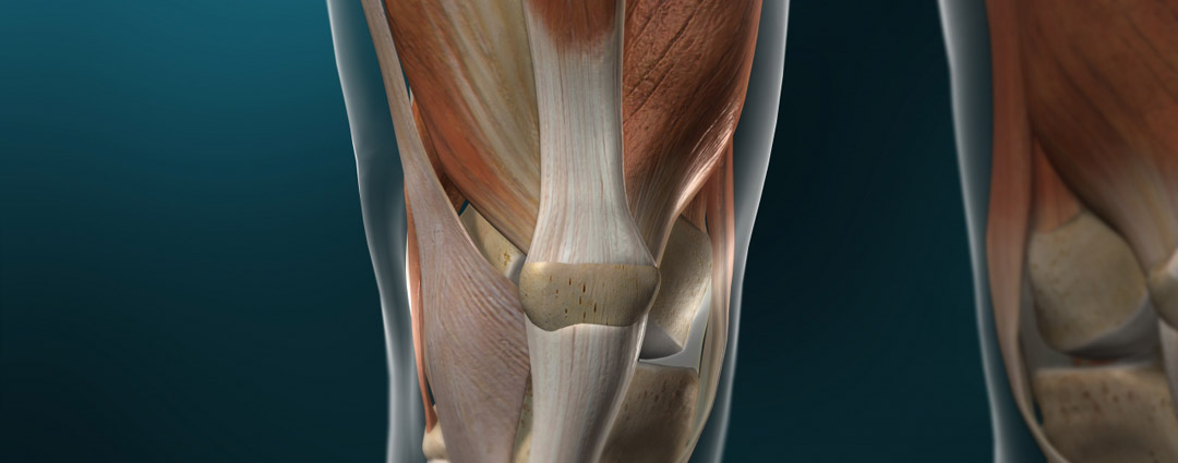 Hip Pain Treatment in Arizona